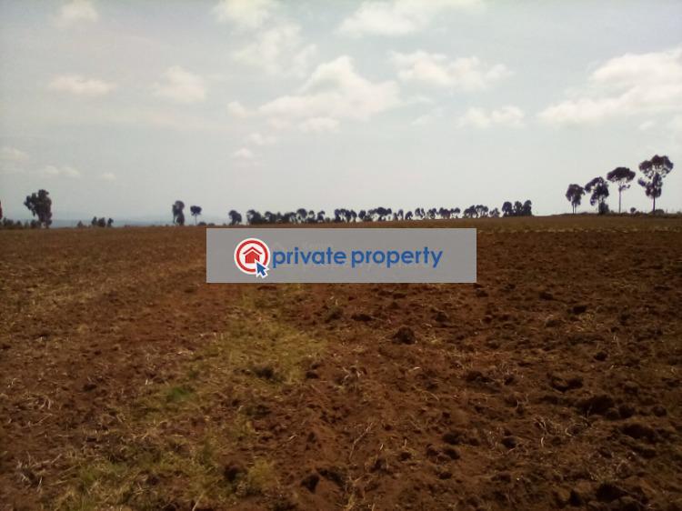 Mixed use Land For Sale &nbsp;timau Timau Meru - 3