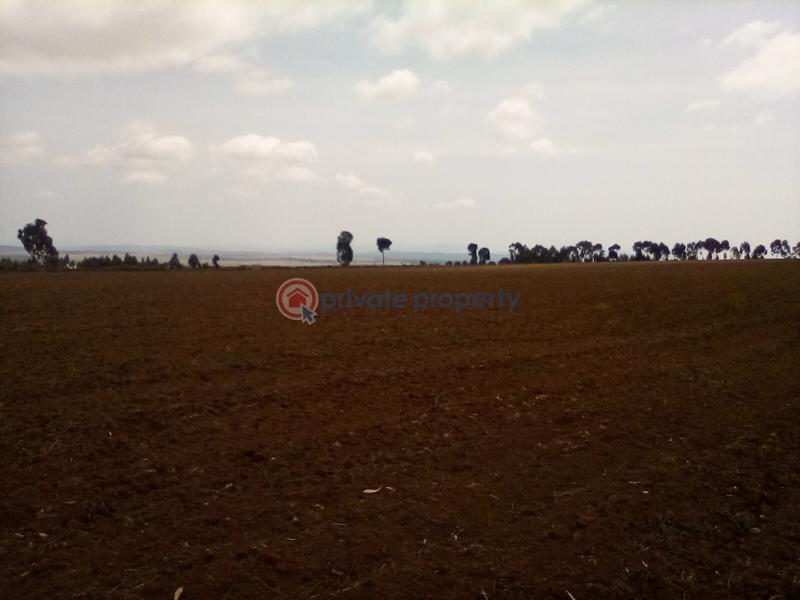 Land For Sale Timau Meru - 16