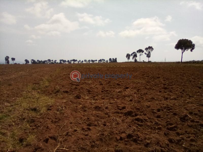 Land For Sale Timau Meru - 5