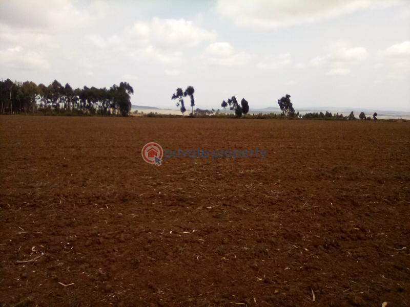 Land For Sale Timau Meru - 17