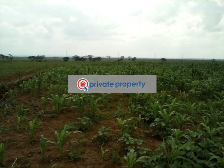 Land For Sale &nbsp;nanyuki Rumuruti Road Rumuruti Township Laikipia - 9