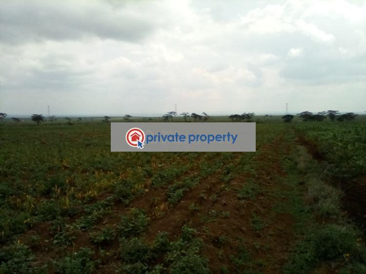 Land For Sale &nbsp;nanyuki Rumuruti Road Rumuruti Township Laikipia - 5