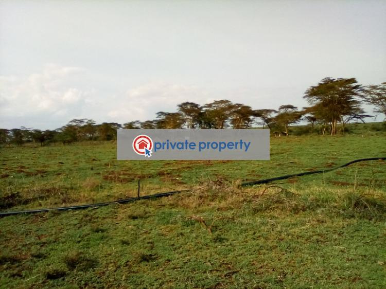 Land For Sale &nbsp;nanyuki Rumuruti Road Rumuruti Township Laikipia - 2