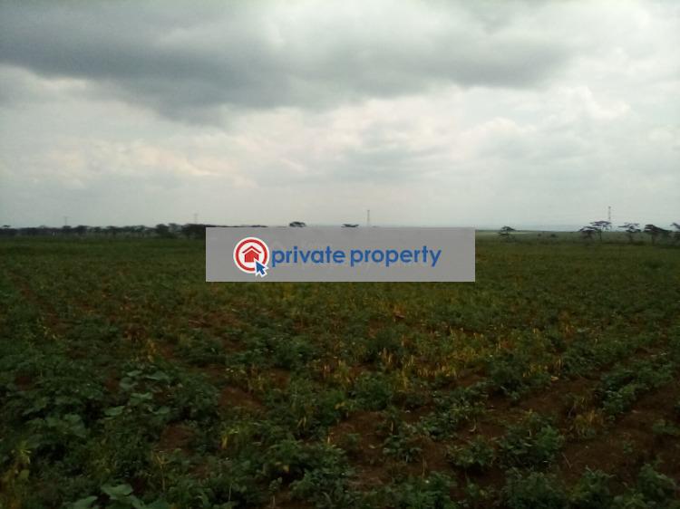 Land For Sale &nbsp;nanyuki Rumuruti Road Rumuruti Township Laikipia - 7