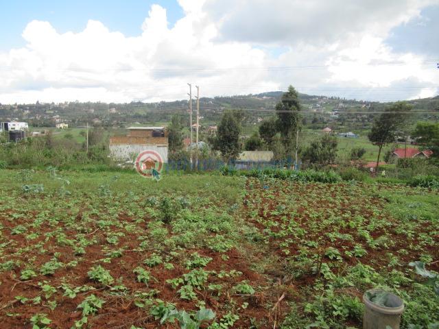 Land For Sale Ngong Suswa Rd Kibiko Ngong Kajiado - 5