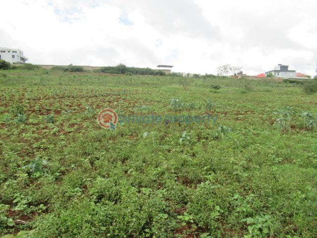 Land For Sale Ngong Suswa Rd Kibiko Ngong Kajiado - 3