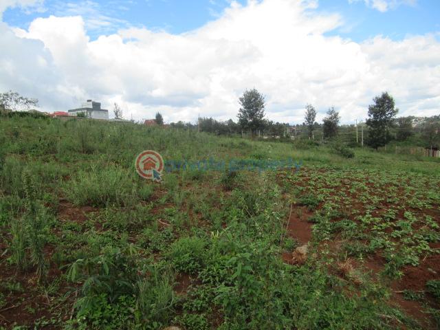Land For Sale Ngong Suswa Rd Kibiko Ngong Kajiado - 9