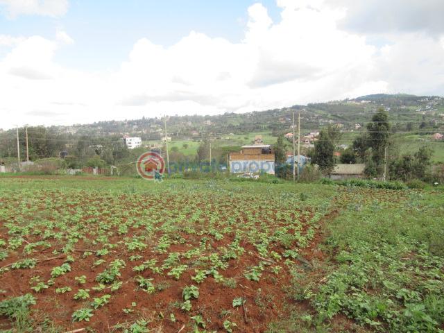 Land For Sale Ngong Suswa Rd Kibiko Ngong Kajiado - 0