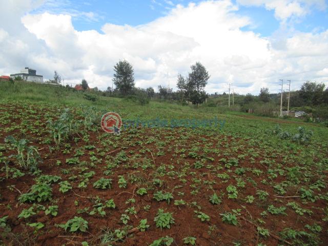 Land For Sale Ngong Suswa Rd Kibiko Ngong Kajiado - 4