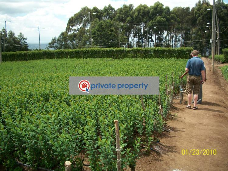 Land For Sale &nbsp;murungaru North Kinangop Nyandarua - 8