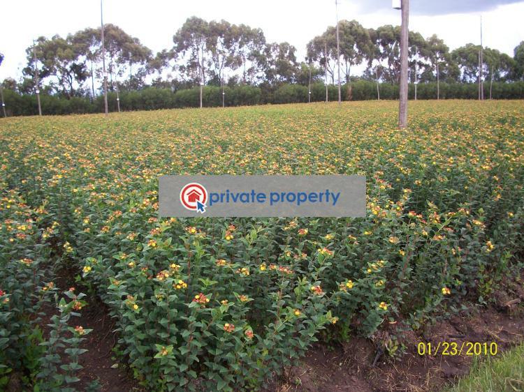 Land For Sale &nbsp;murungaru North Kinangop Nyandarua - 7