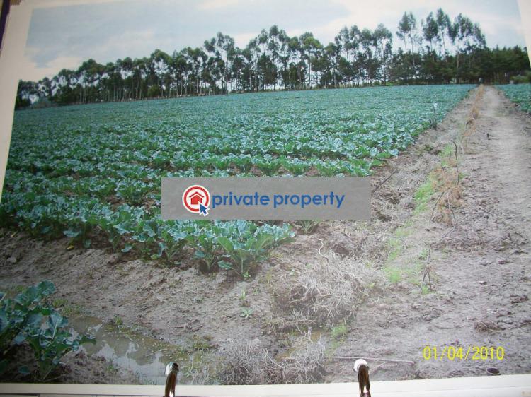 Land For Sale murungaru North Kinangop Nyandarua (PID 6PADZJ