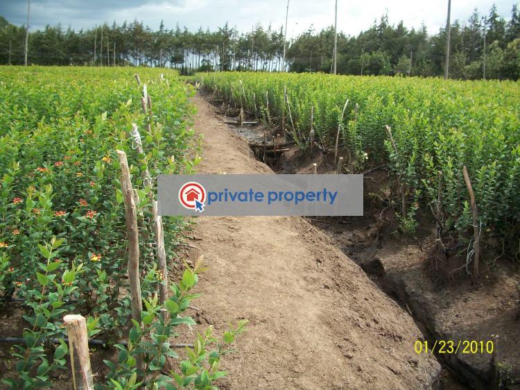 Land For Sale murungaru North Kinangop Nyandarua (PID 6PADZJ