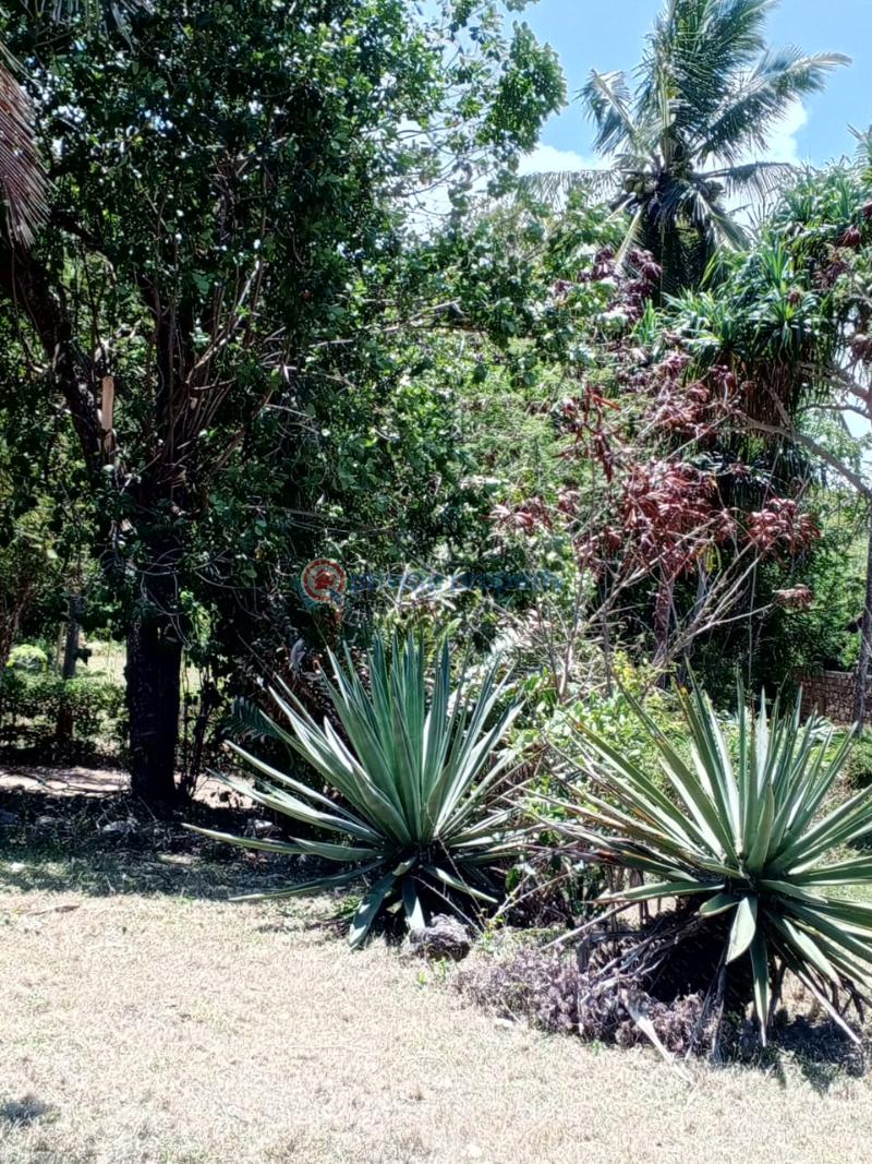 4 bedroom House For Sale Kikambala Mtwapa Kilifi - 14
