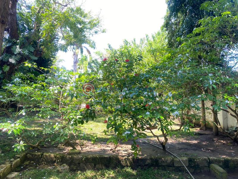 4 bedroom House For Sale Mama Ngina Dr Mombasa Nyali Nyali Mombasa  - 3