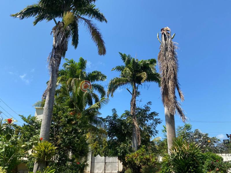4 bedroom House For Sale Mama Ngina Dr Mombasa Nyali Nyali Mombasa  - 10