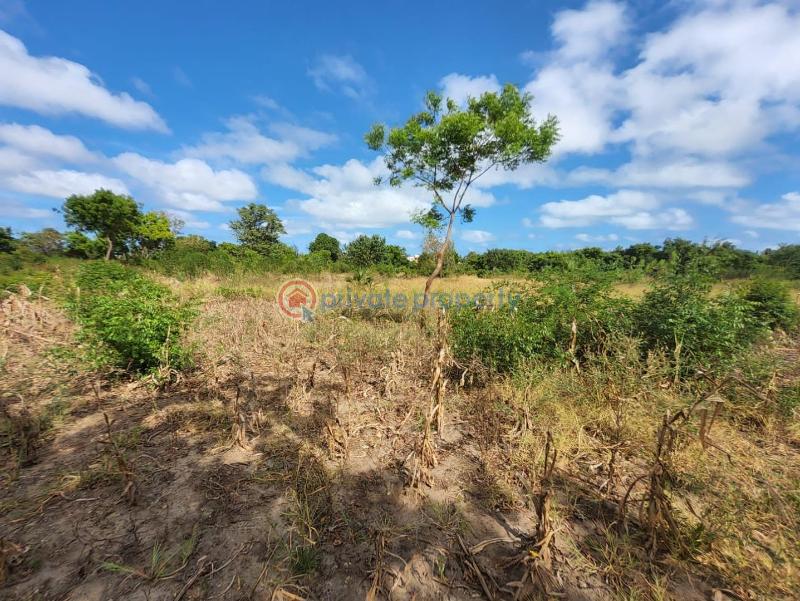 Land For Sale Mavueni Mnarani Kilifi - 2