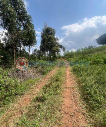 Land For Rent Gitutha,thigio Kikuyu Kiambu - 1