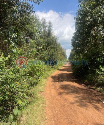 Land For Rent Gitutha,thigio Kikuyu Kiambu - 2