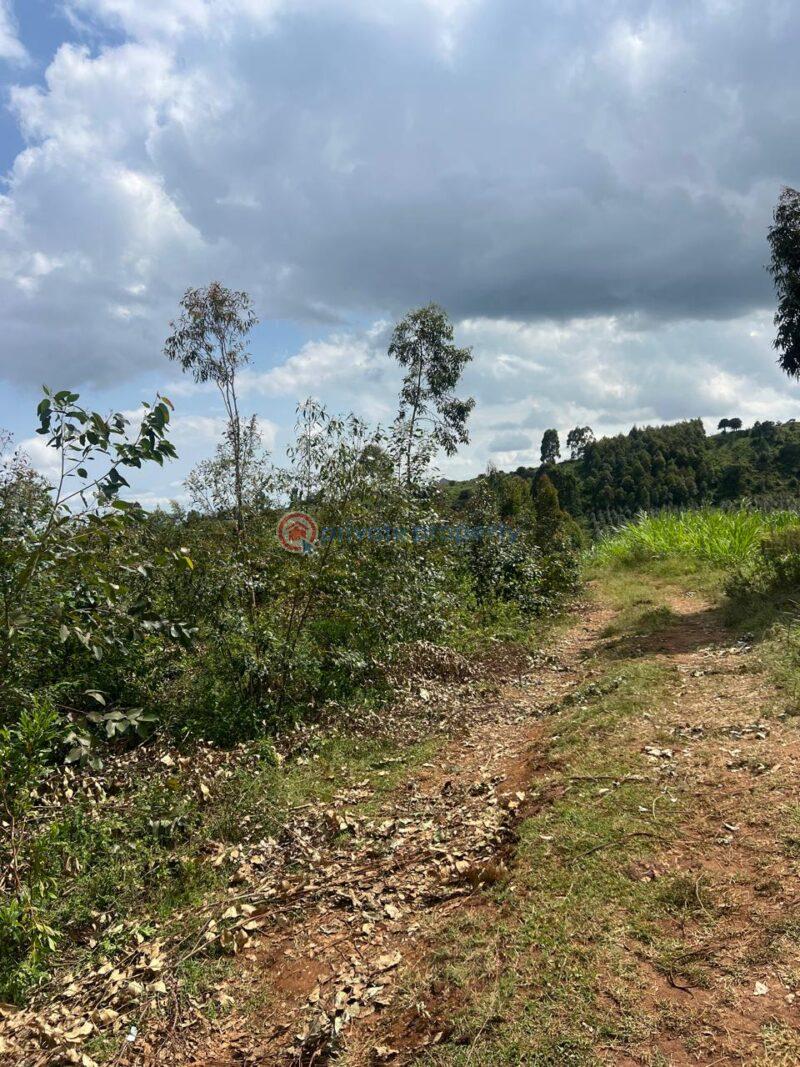 Land For Rent Gitutha,thigio Kikuyu Kiambu - 0
