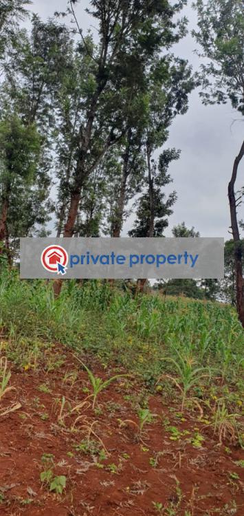 Residential Land For Sale &nbsp;chania Thika Kiambu - 1