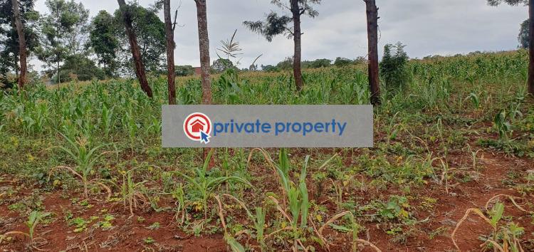 Residential Land For Sale &nbsp;chania Thika Kiambu - 3