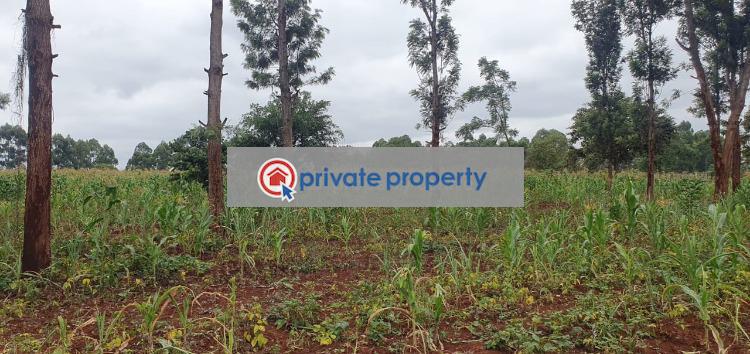 Residential Land For Sale &nbsp;chania Thika Kiambu - 4