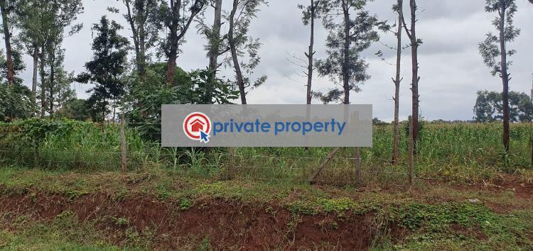 Residential Land For Sale &nbsp;chania Thika Kiambu - 5