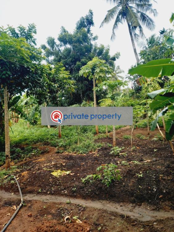 Land For Sale Mtwapa Kilifi - 7