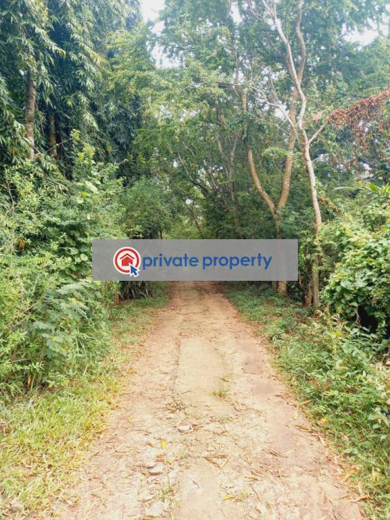 Land For Sale Mtwapa Kilifi - 9