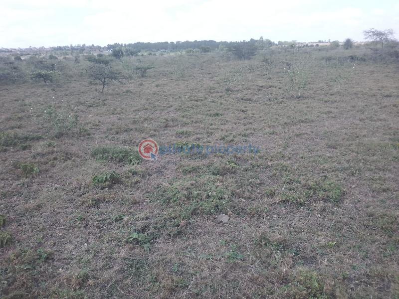 Land For Sale Isinya Kaputiei North Kajiado - 4