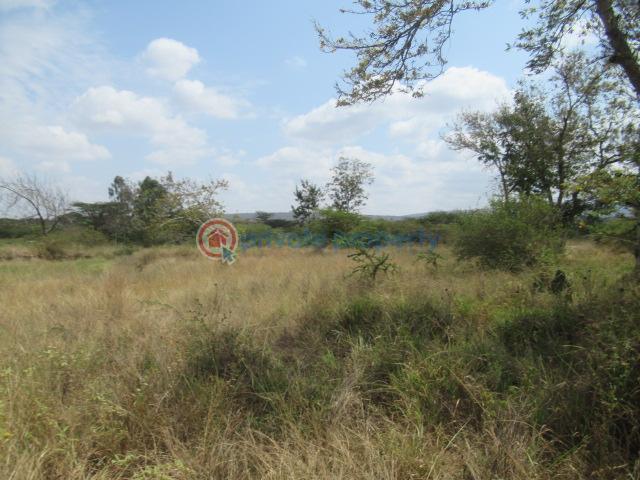 Land For Sale Mombasa Rd, Maanzoni, Kyumvi Machakos Athi River  - 5