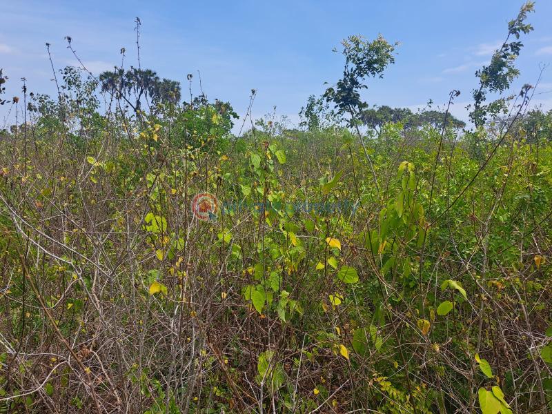 Land For Sale Galu Kwale Ukunda. Kwale - 5