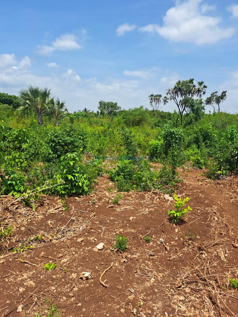 Land For Sale Galu Kwale Ukunda. Kwale - 1