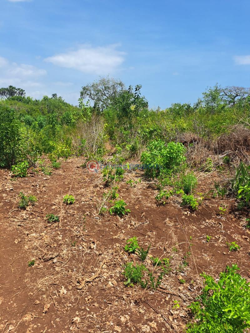 Land For Sale Galu Kwale Ukunda. Kwale - 4
