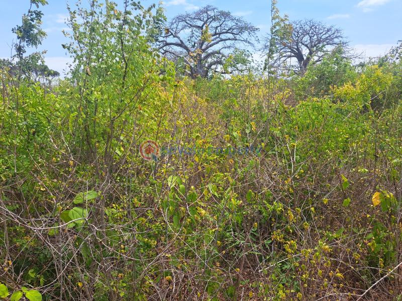 Land For Sale Galu Kwale Ukunda. Kwale - 6