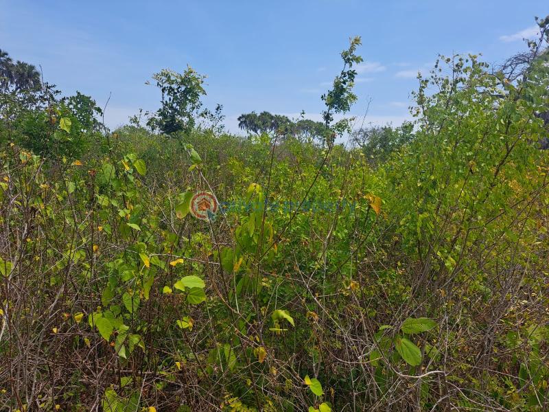 Land For Sale Galu Kwale Ukunda. Kwale - 2