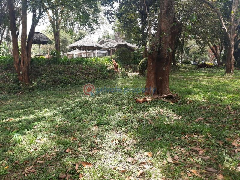 Land For Sale Lower Kabete Westlands Nairobi - 8