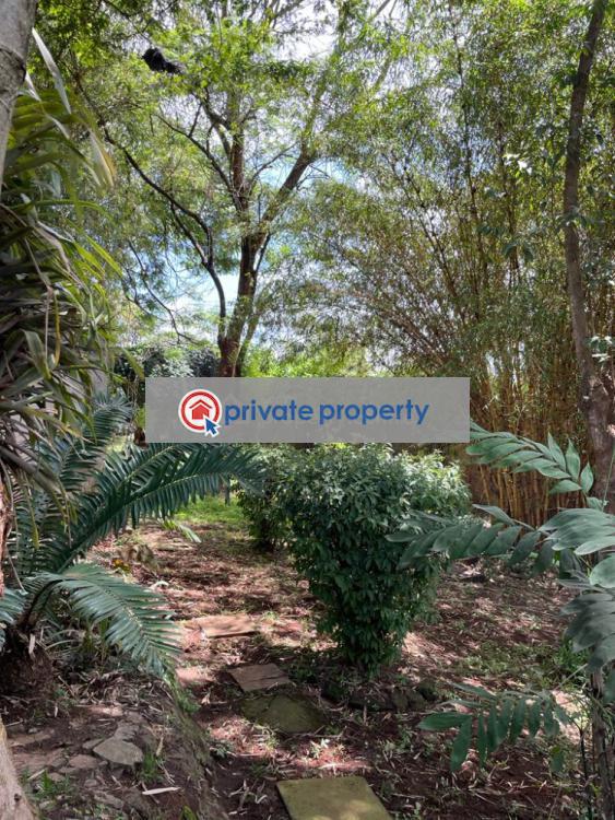 Office Space For Rent  james Gichuru Road Lavington Nairobi - 4