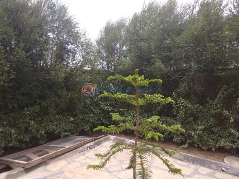 3 bedroom House For Sale Naivasha Near Aqua Resort Nakuru Naivasha East  - 9