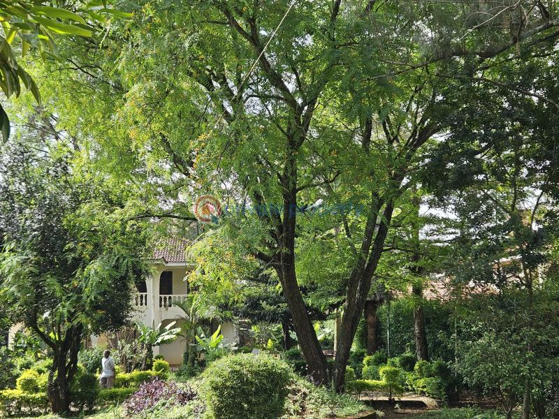 5 bedroom House For Sale Karen Hardy Ndovu Rd. Kikenni Road Karen Nairobi - 0