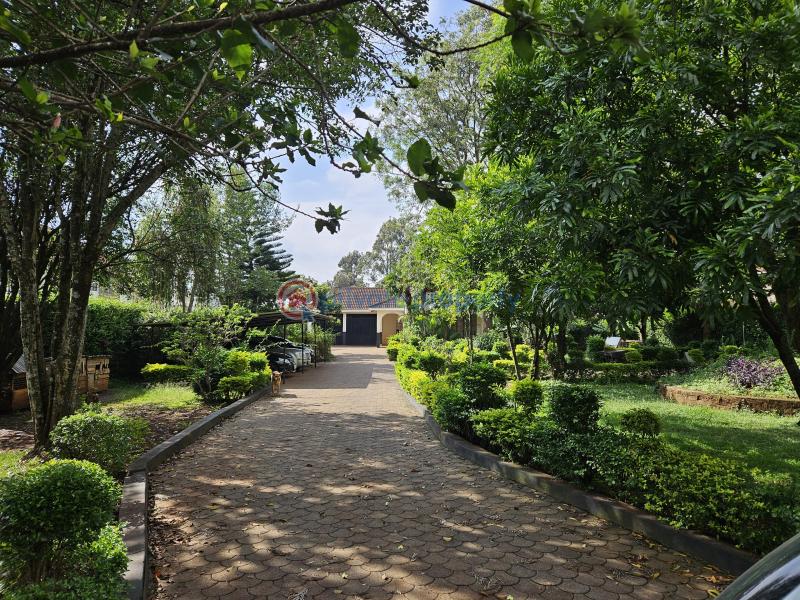 5 bedroom House For Sale Karen Hardy Ndovu Rd. Kikenni Road Karen Nairobi - 2