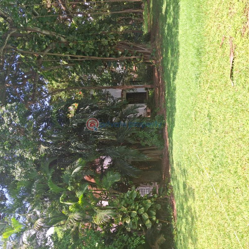 5 bedroom House For Sale Nyali Mombasa - 10