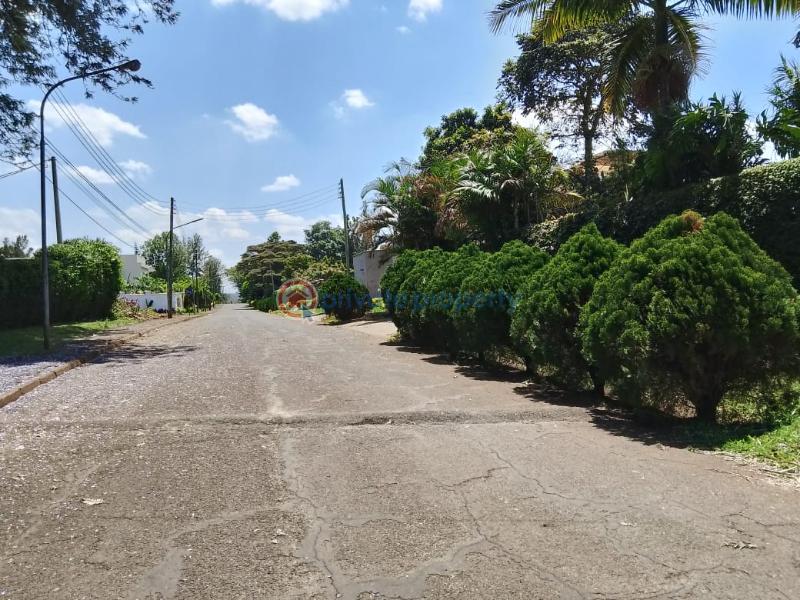 5 bedroom House For Sale new Kitisuru Nairobi - 6
