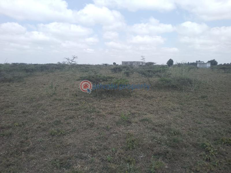 Land For Sale Bisil Kaputiei North Kajiado - 2