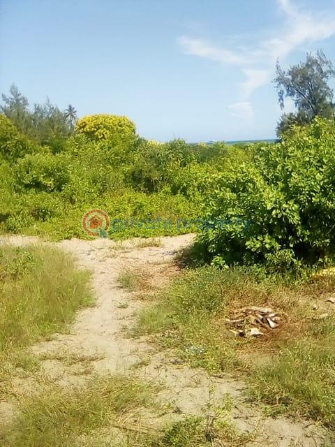 Land For Sale Kilifi Bofa Ocean Front Watamu Kilifi - 1