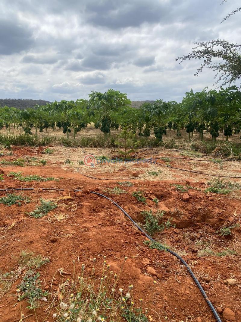 Land For Sale Embu, Mbeere North Kerugoya Kirinyaga - 13