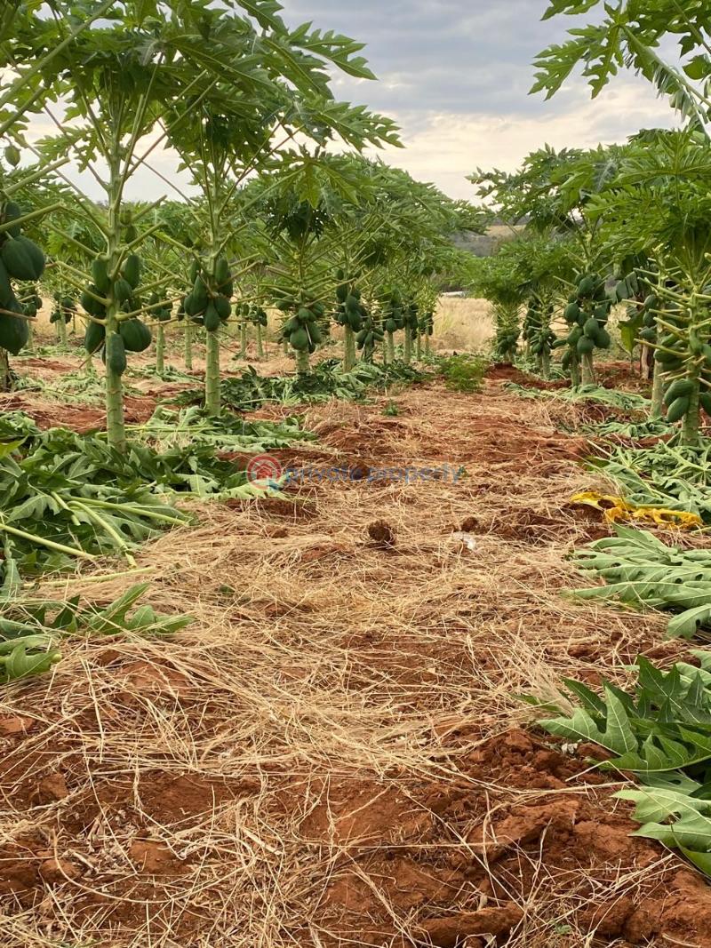 Land For Sale Embu, Mbeere North Kerugoya Kirinyaga - 11