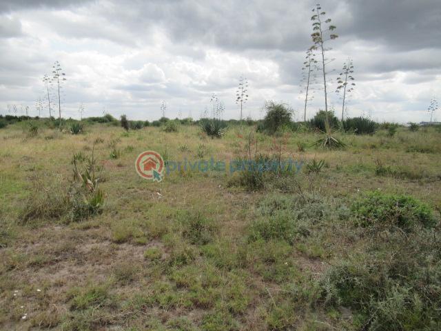Land For Sale Katani Syokimau/Mulolongo Machakos - 2