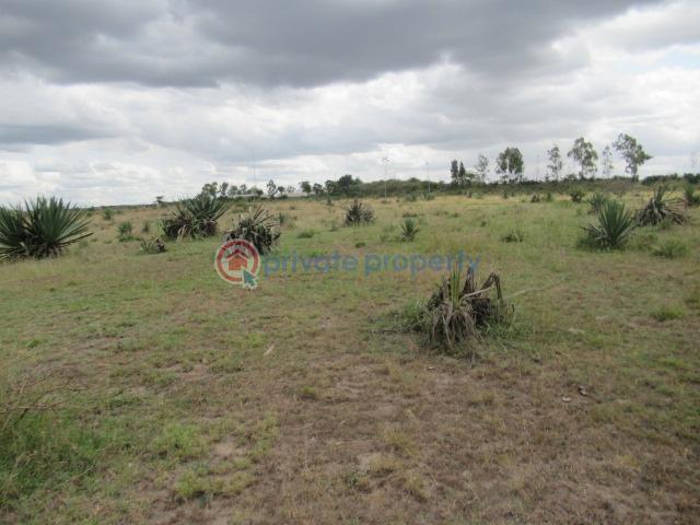 Land For Sale Katani Syokimau/Mulolongo Machakos - 10